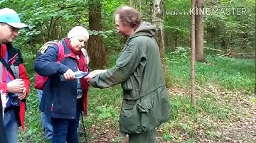 Рецепт весёлки и её секреты!