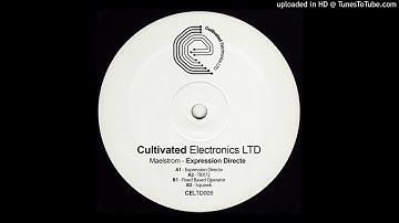 Maelstrom ‎– Expression Directe