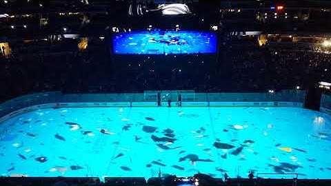 Pre-game intro at game 6 of the Stanley Cup Playoffs round 2. Sharks vs Avs!