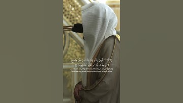 تلاوة بديعة للشيخ القارئ إمام الحرم المدني د. عبدالله القرافي #القرآن_الكريم #المصحف #تلاوات_خاشعة