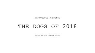 The Dogs of 2018