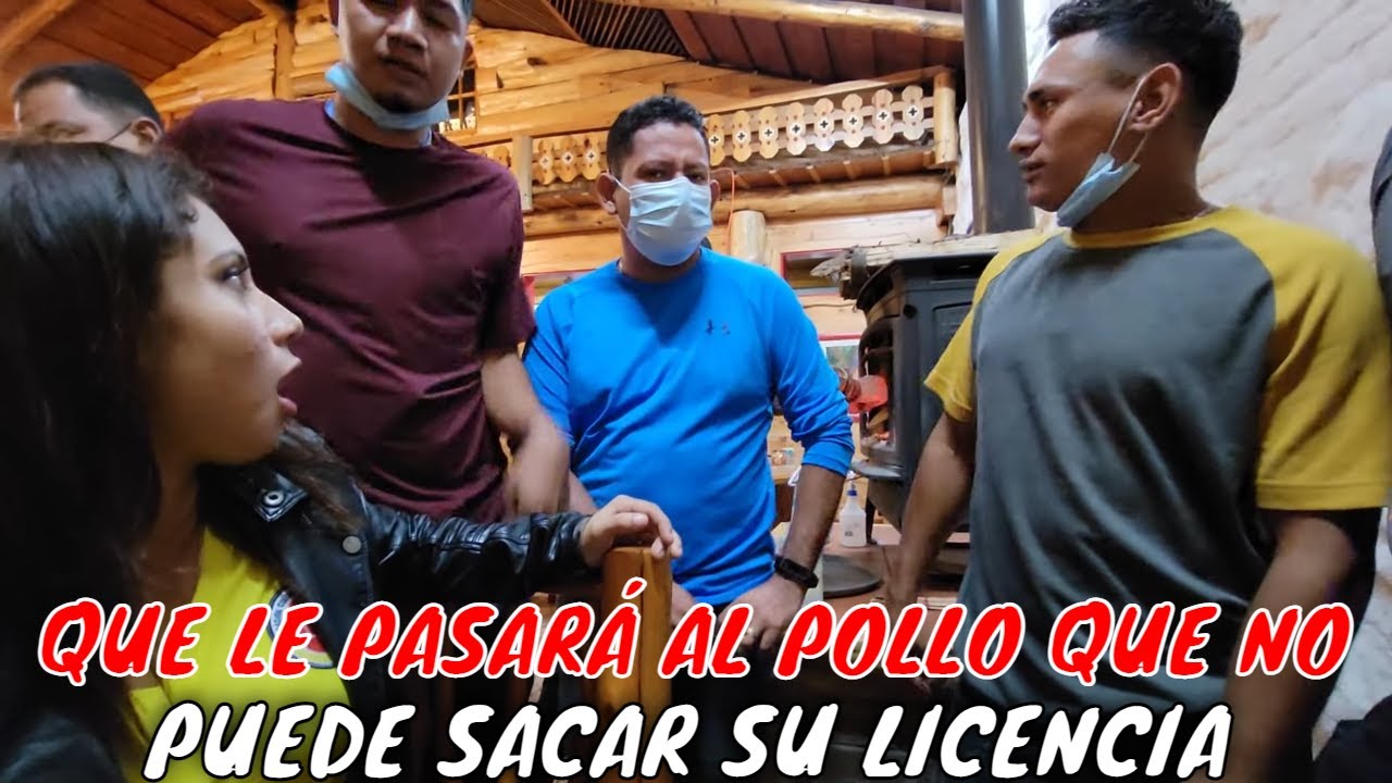 Estos son los que aún no tienen licencia de la plaga. Pollo el más viejo y no tiene licencia. P 19