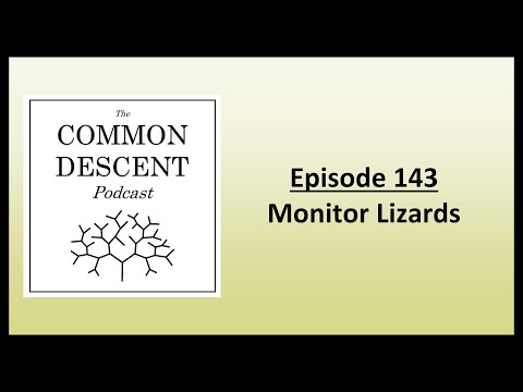 Episode 143 - Monitors Lizards