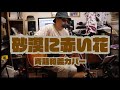 砂漠に赤い花 / 斉藤和義カバー