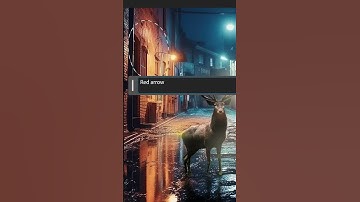 Create Magic with Generative Fill with Adobe Firefly x Photoshop beta
