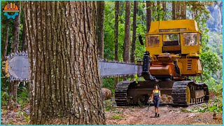 109 Incredible Fastest Big Chainsaw Cutting Tree Machines