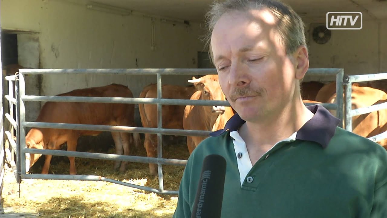 Landwirt Leichtfried Pischkberg