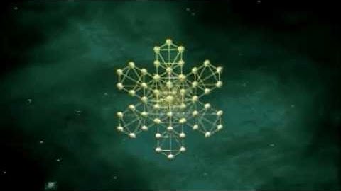 The Tree of Life Encodes the Geometry of the Fabric of the Vacuum of Spacetime