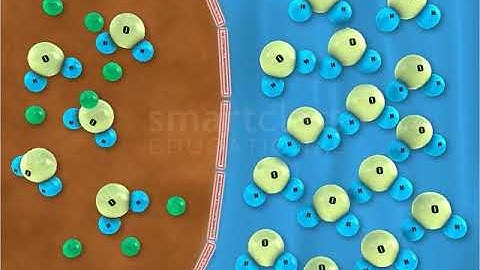 Class9 Science Osmosis in Raisins