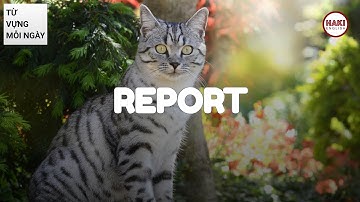 REPORT | Phát âm - Giải nghĩa - Ví dụ | Từ vựng tiếng Anh