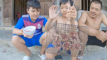 bẩy chim cút rừng và món cút nướng siêu ngon của hailun vlogs