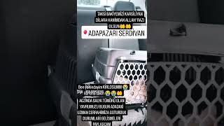 Ağzinda Salya Tümörüyle Aci İci̇nde Kaldi̇ 😭Bugun Aradaki̇ Cerraha Goturdum Durumlari̇ Paylascam 😭🤲