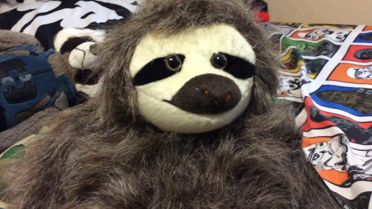What is in a $55 sloth adoption kit from World Wildlife Fund?
