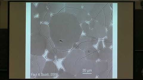 Prof. Ulrich Faul | Experimental constraints on melt distribution and its effect on the rheology