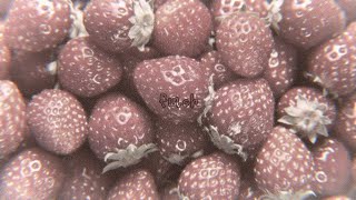 Feb 14 Cavetown Slowed Reverb But Its An Old Record And Youre Thinking About A Lost Love