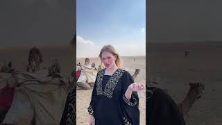 Trend with Camel?? فيديو مع الجمل في مصر shorts funny egypt
