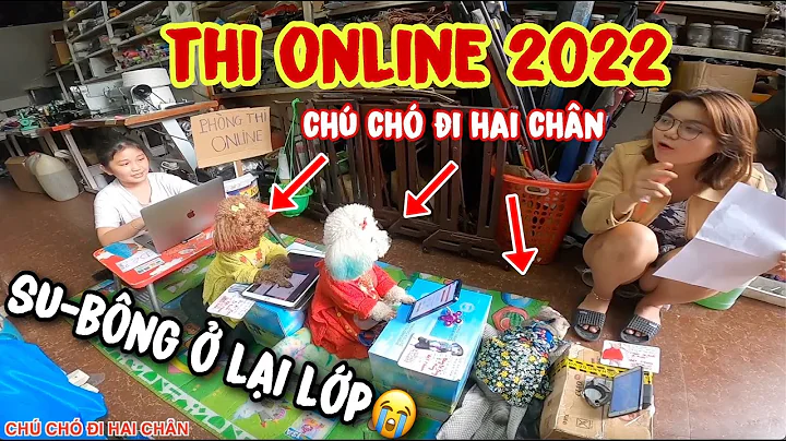 Tập 7: Thi online - SU XÍ XỌN và BÔNG BÉ BỎNG Ở LẠI LỚP 1 mình Bé Thảo lên lớp | CHÚ CHÓ ĐI HAI CHÂN