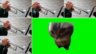 'Cat meme' played on trumpet