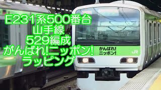 E231系500番台 山手線 529編成 がんばれ!ニッポン! ラッピング