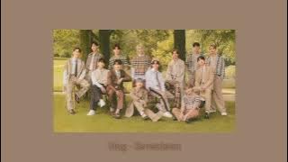 [1 hour] Hug - Seventeen