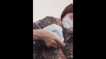 How Does Monkeypox Spread  Find Out Now!#shorts  #monkeypox #prevention   #healthtips  #awareness