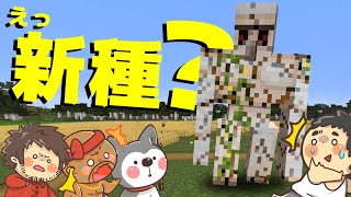 【カズぽこ】ボロボロの新種のゴーレムが発生しました！ PART24(前編)シーズン3