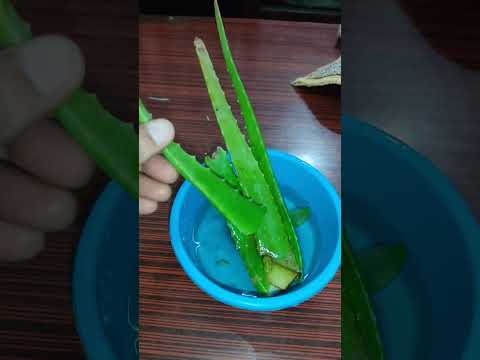 Funny Comedy Garden Gardening Homegardening