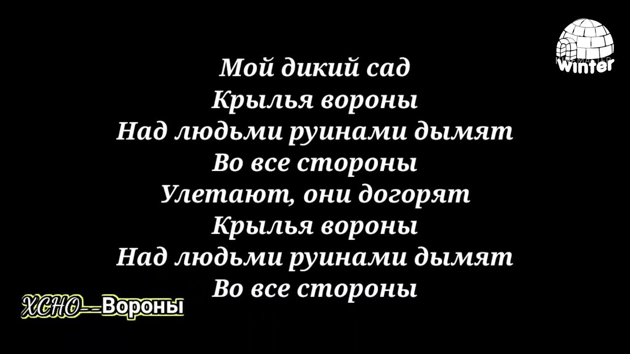 Песни со словами вороны. Мой дикий сад текст. Хчо мой дикий сад Крылья вороны. Черный ворон текст. Дикий сад Крылья вороны текст.