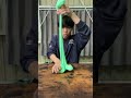 slime vs stapler #73