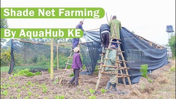 Shade Net Installation in Kenya | Full Step-by-Step Farming Guide 2025