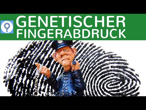 Video: Wie wird DNA in der Forensik verwendet?