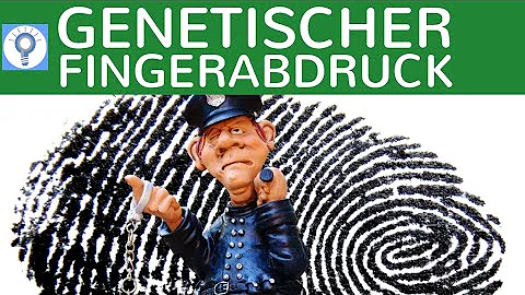 Ist der Fingerabdruck an jedem Finger gleich?