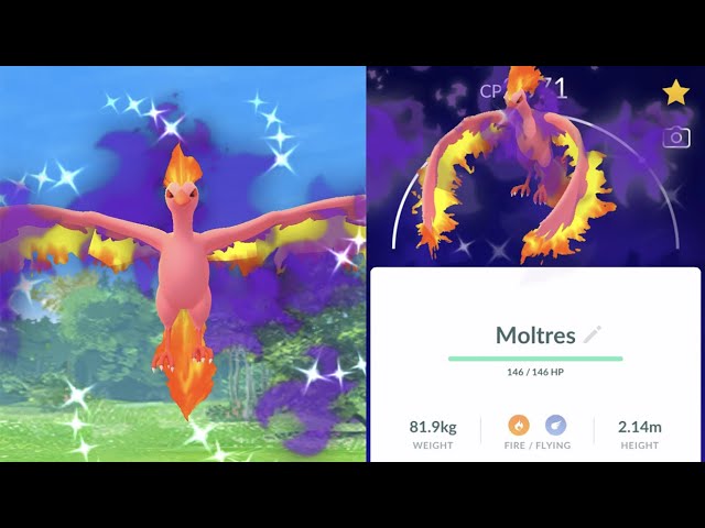 A Found Shiny Moltres in pokemon go 