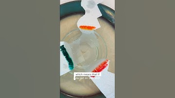 Make funky designs with this paper chromatography experiment for kids!