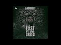 Hammer of The Last Two- Repercussions (feat. Kwaw Kese & Worlasi) (Artwork Audio)