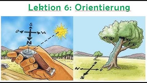 Video 17: Bài 6:  định hướng, chỉ đường. Orientierung, Fragenpronomen