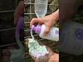 Survival Skills SIMPLE and USEFUL save SOAP & Water in forest #camping #outdoors #survival#skills