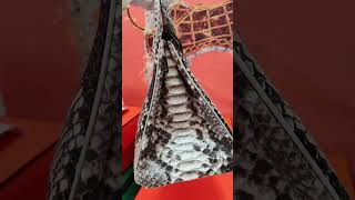 Snake skin bag #bag#rare skin #fashion #handbags #luxury