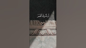 #القرآن_الكريم #المصحف #سورة يس #اكسبلور #لايك #راحة_نفسية 💗