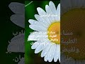 مساء الخير مساء معطر بذكر الله مبعوث لأحلى خلق الله لينير الدرب ويبارك فيه مساء الخير مساء معطر بذكر الله مبعوث لأحلى خلق الله لينير الدرب ويبارك فيه