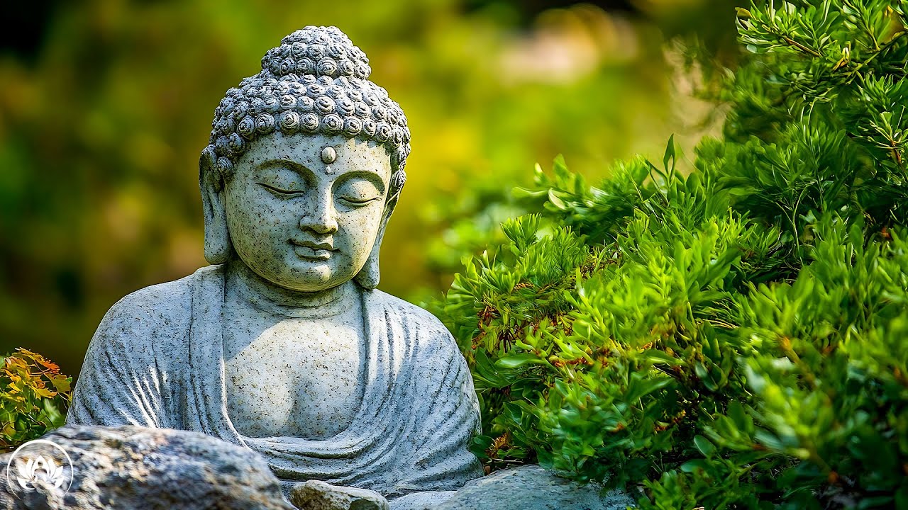 528Hz Healing Frequency  | Relaxing Cleanse Body & Mind and Meditation Music for Inner Peace #6