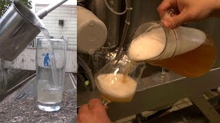 Celebrity Would You Drink Beer Made of Sewage Water? Net Worth