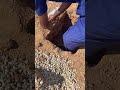 تصوير دفن واضح لي طفل في مقبرة شمال الرياض المقطع للعضه والعبرة اللهم اجعله شفيع لي والديه تصوير دفن واضح لي طفل في مقبرة شمال الرياض المقطع للعضه والعبرة اللهم اجعله شفيع لي والديه