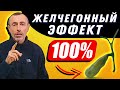 ЖИРЫ ИЛИ ТРАВЫ - ЖЕЛЧЕГОННЫЙ ЭФФЕКТ 100 процентов! Глисты, паразиты, очищение протоков желчного