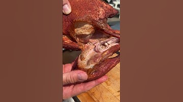 Trying Wild Pheasant for the First Time