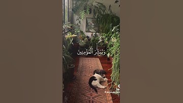 قراءت سوره الكهف يوم الجمعه نور مابين الجمعتين 🥺☺️