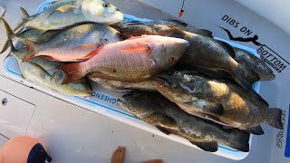 Shallow Water Spearfishing - Less Than 15 Ft Of Water