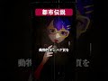 【都市伝説】肉食のパンダが笹だけで生きられるヤバい理由 #vtuber #怖い話 #不気味な話 #ロア #怪談 #朗読 #信じようと信じまいと #ゾッとする話