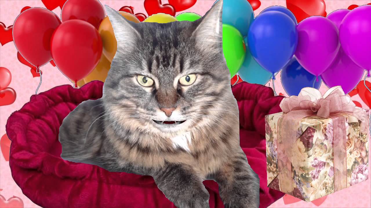 Видеопоздравление от любимой кошки - YouTube