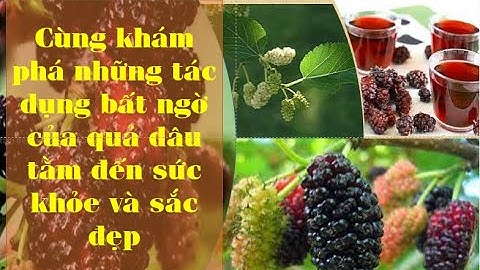 Cùng khám phá những tác dụng bất ngờ của quả dâu tằm đến sức khỏe và sắc đẹp